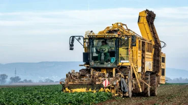 agriculture