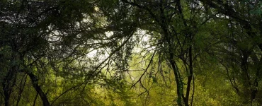 niche ecologique